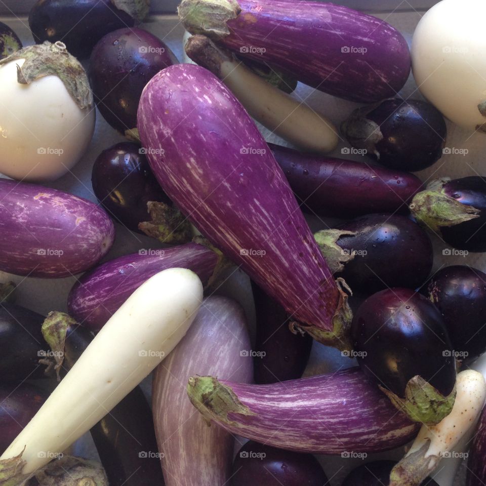 Baby eggplants 