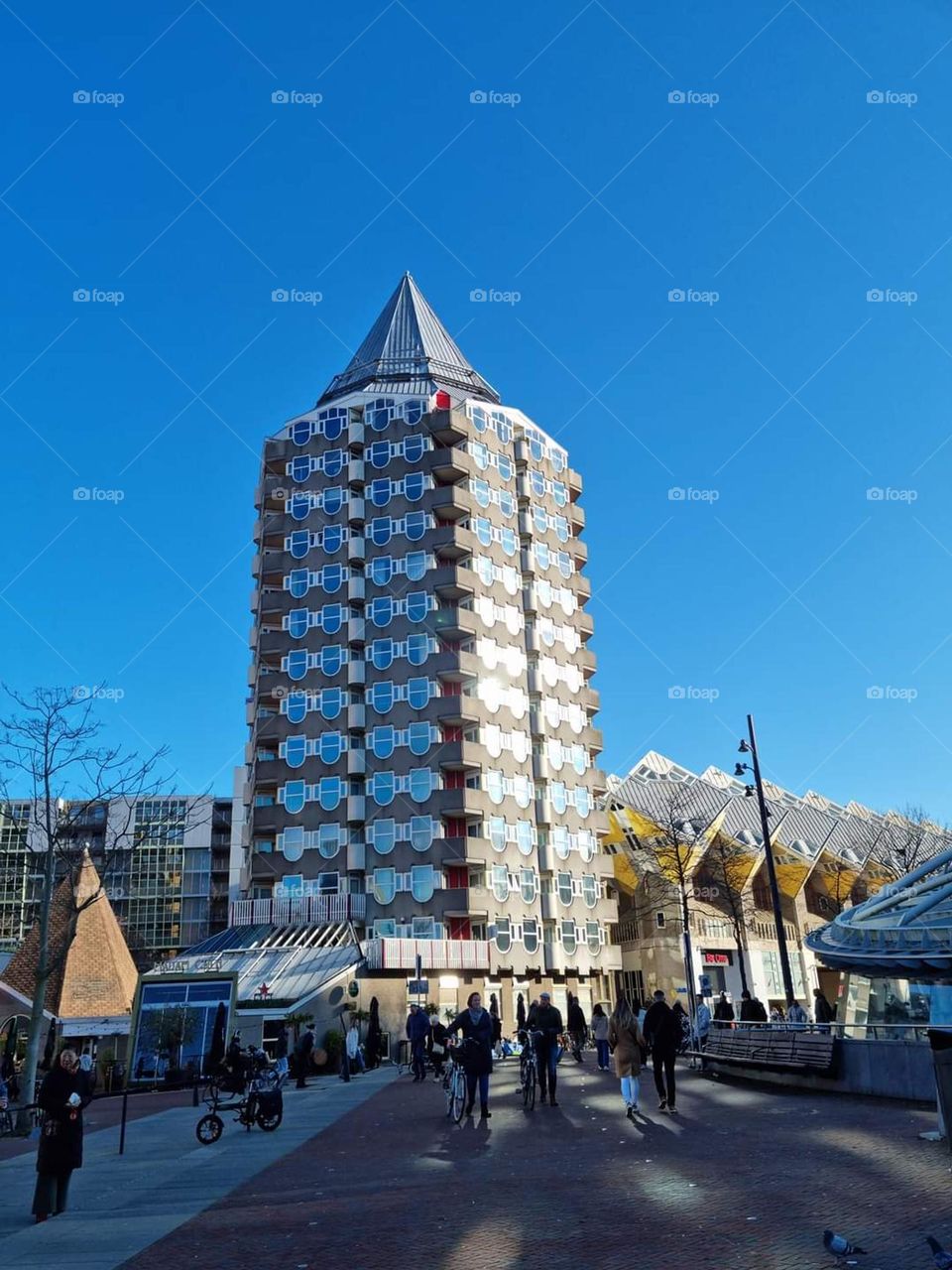 A weekend in Rotterdam