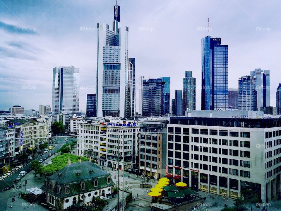 Skyline Frankfurt in the summer
