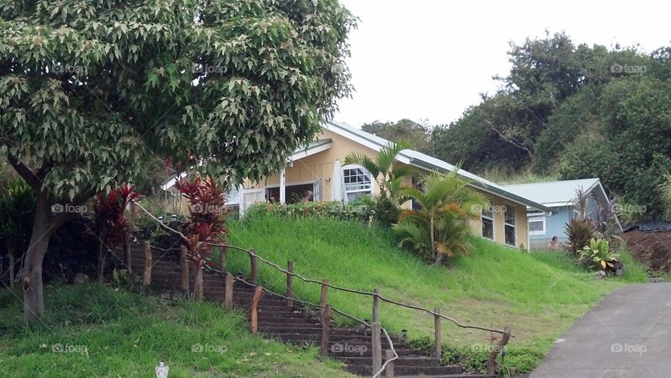 Little Hawaiian School House