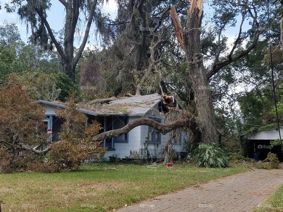 Hurricane Destruction