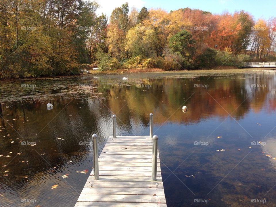 Fall at the lake