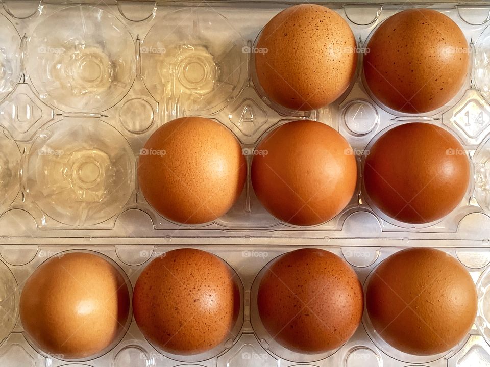 Eggs in a row in transparent egg container