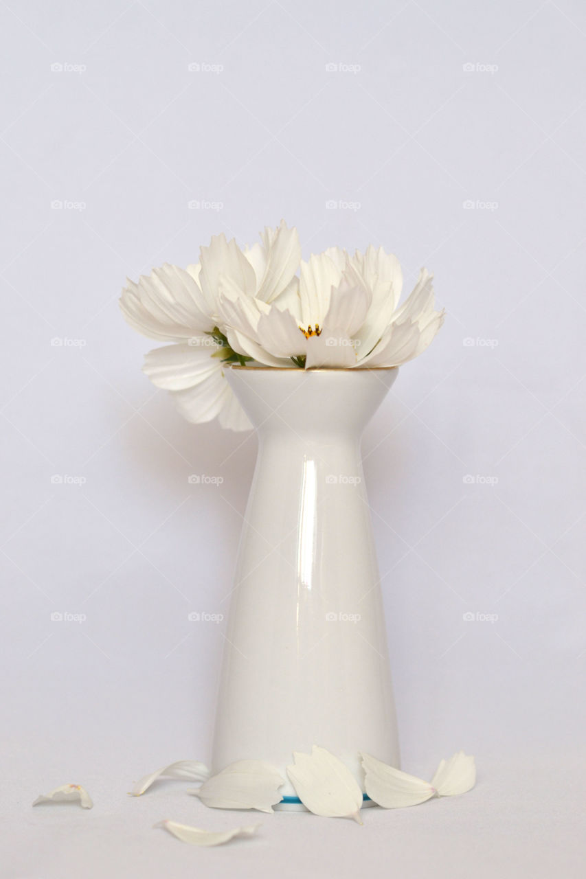 The Art Of composition