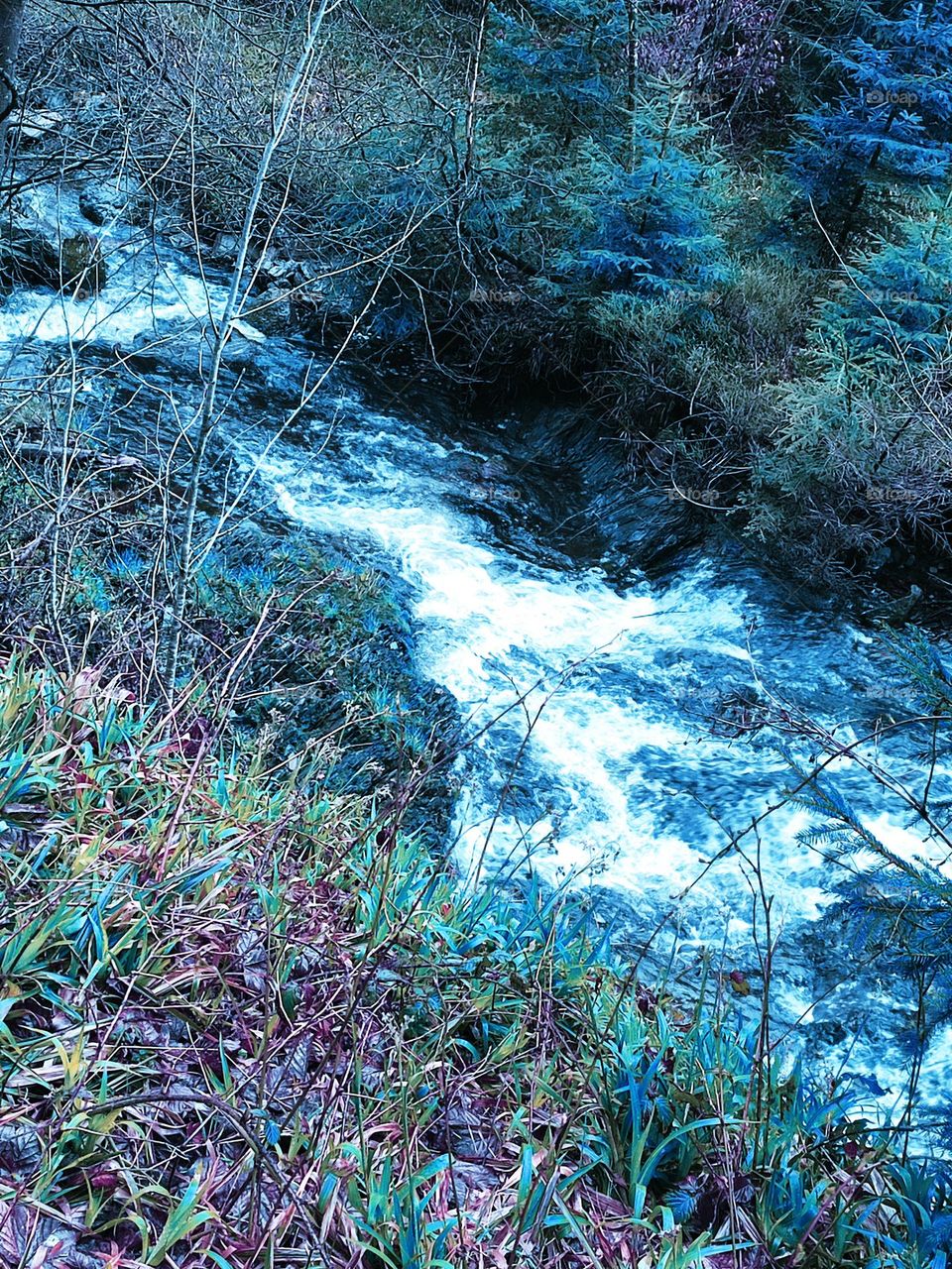Walk in the woods, Bayehon waterfall