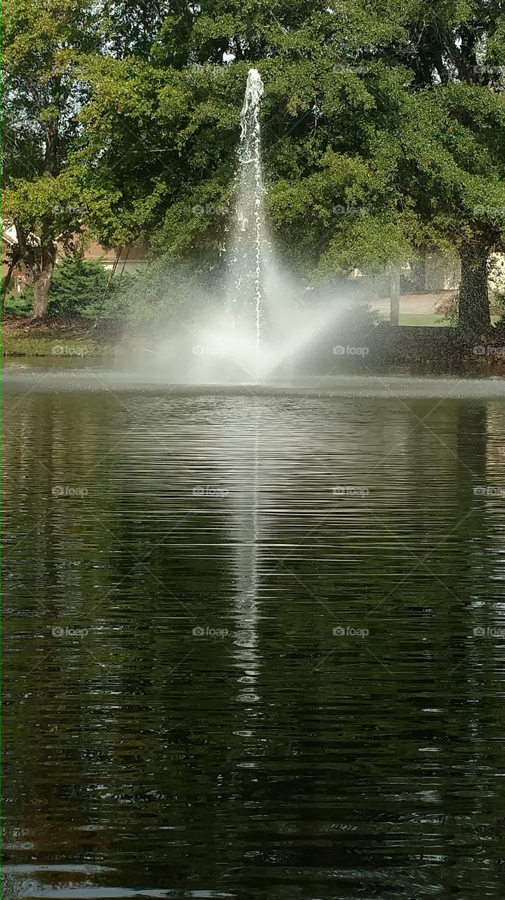 Water, No Person, Nature, River, Outdoors