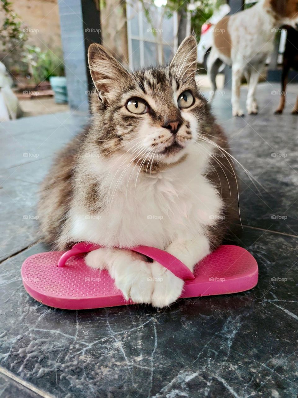 mom's slipper