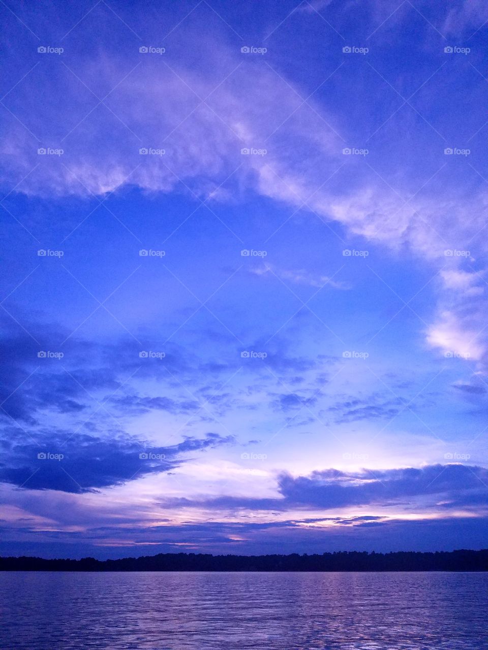 bliss bliss and more