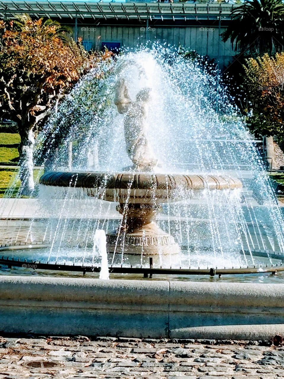 Beautiful Water Fountain