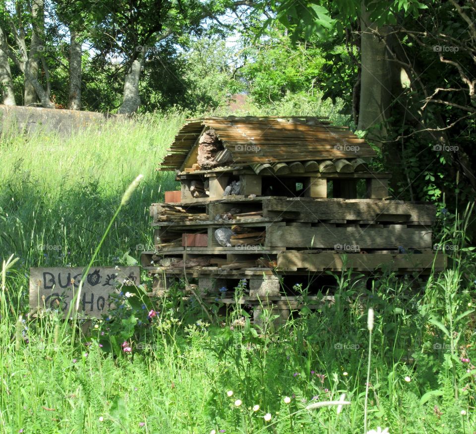 Bug house🕷🐝🐞