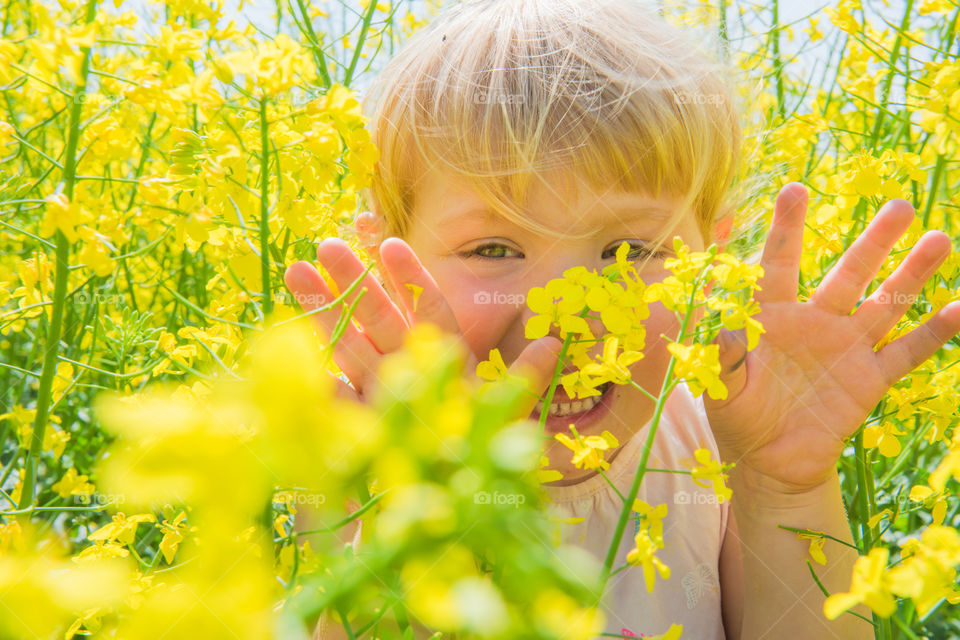 Mischievous and curious little girl of three years playing in a raps field outside the city of Malmo in Sweden