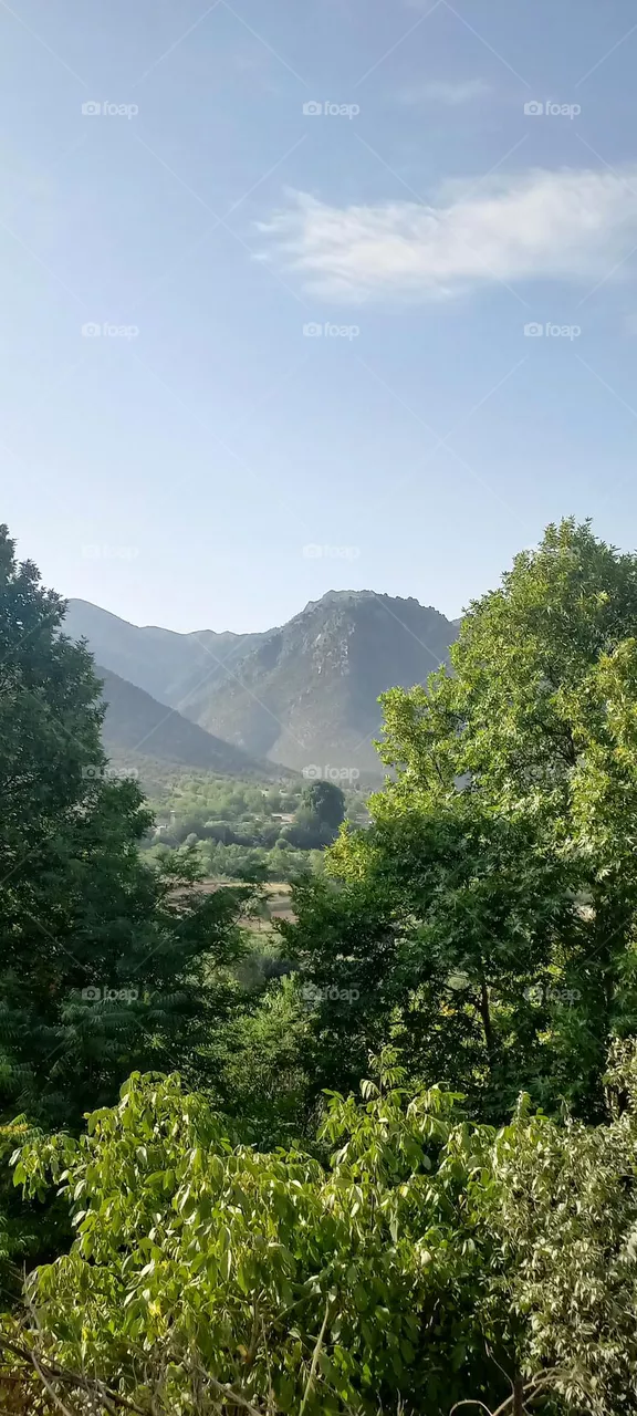 morning time