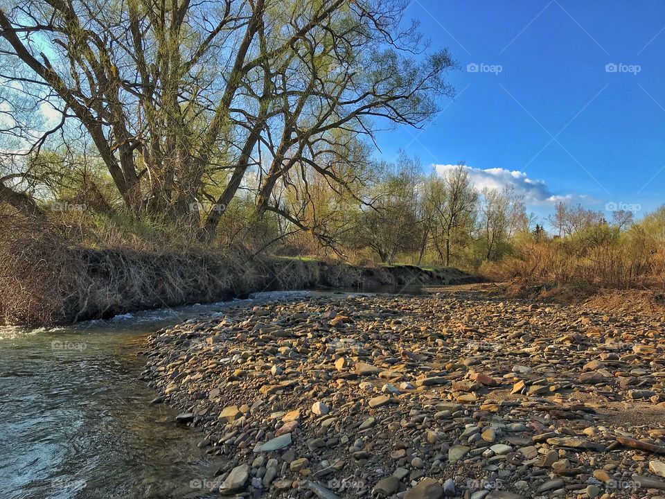 Clear creek trout stream