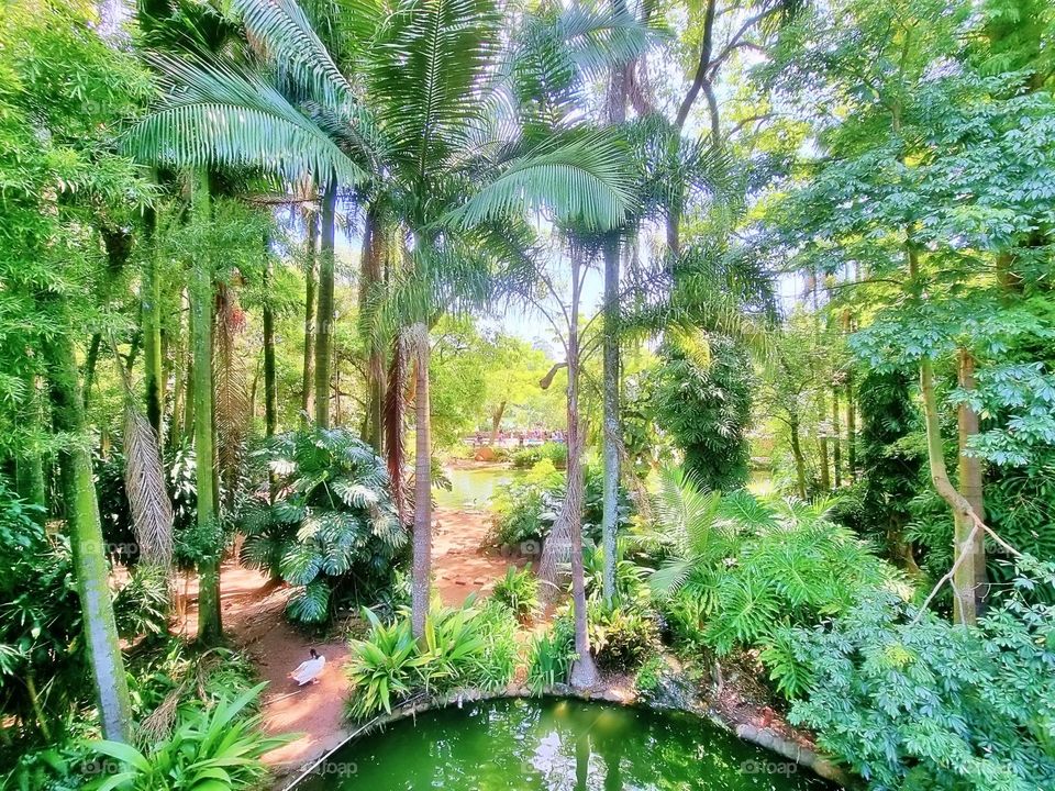 grass entrance city scene parrot graphic feed colorful beautiful little trip activity savannah fur tourism farm holiday childhood monkey funny natural cage zebra garden fauna toddler lion tiger pet baby tree animals bird forest elephant vacation char