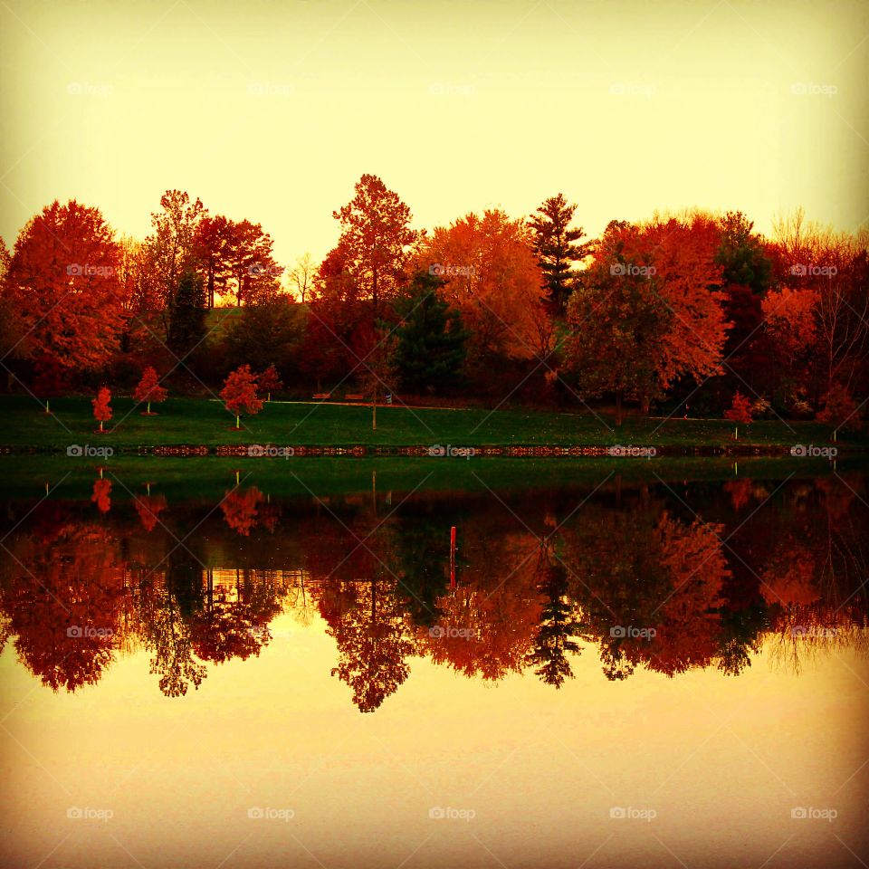 Reflections of fall 