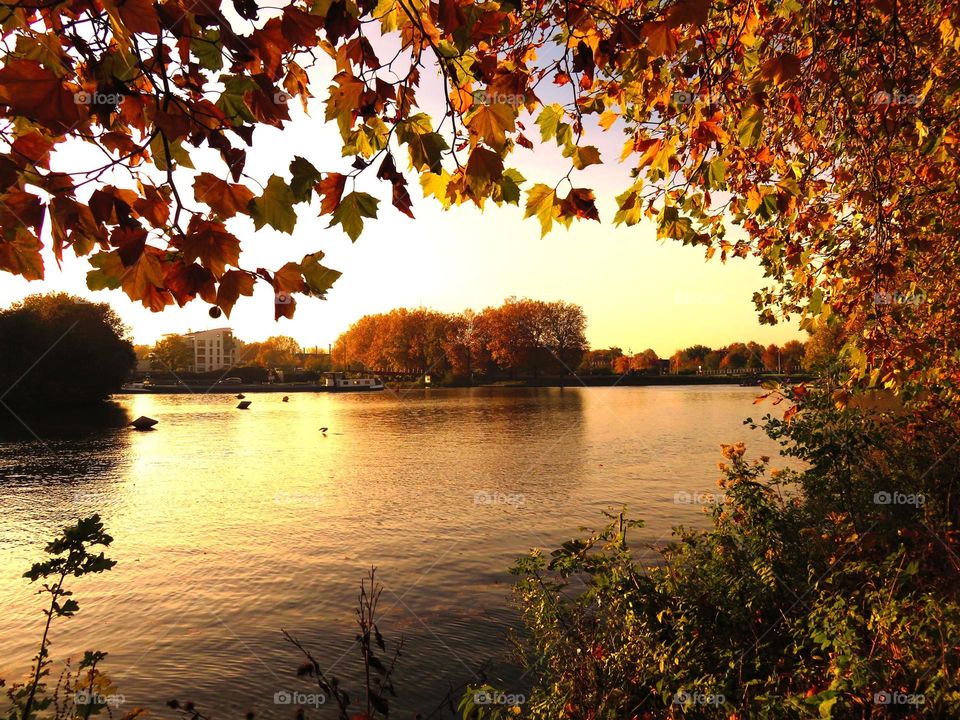 autumn landscape