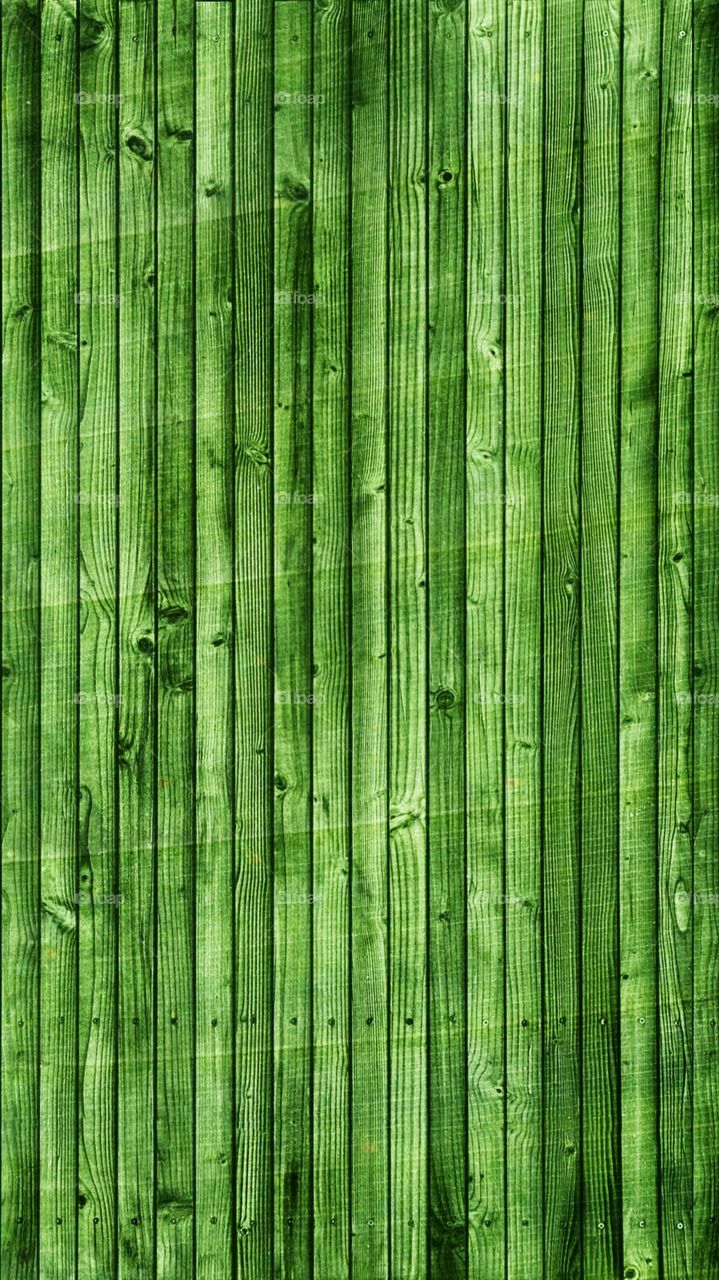 Bamboo texture