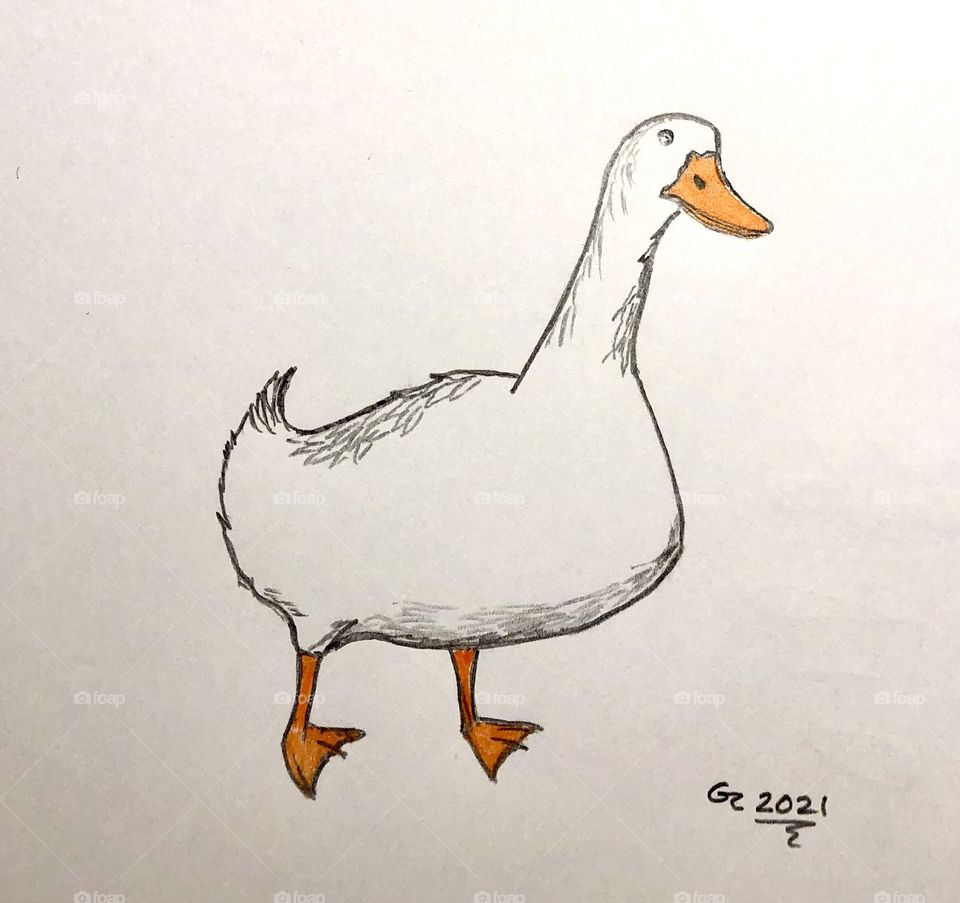 Quack Quack 