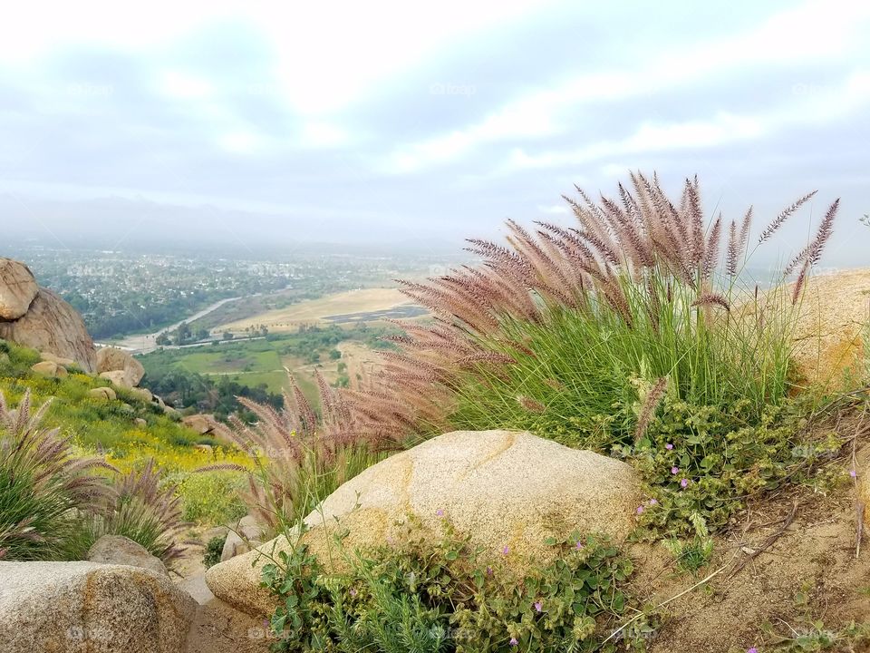 Nature Mountain Side
