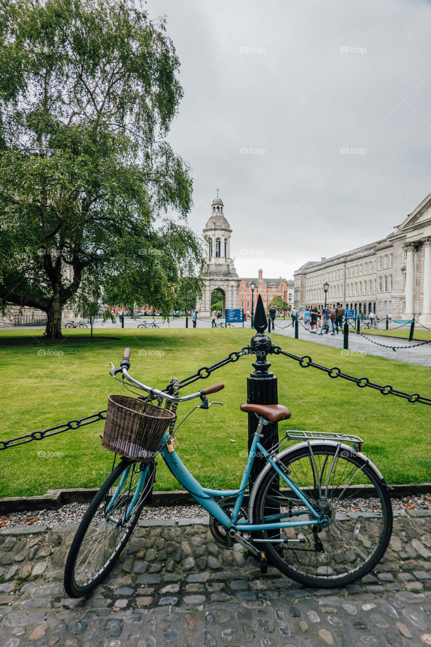 Trinity College 