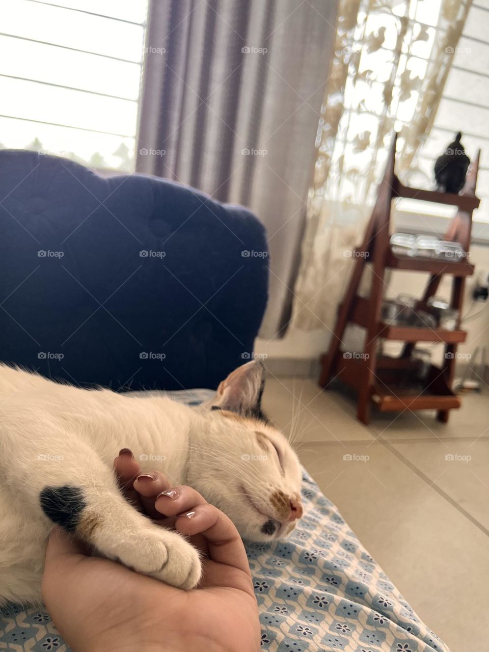 Fresh mani for two 🐾