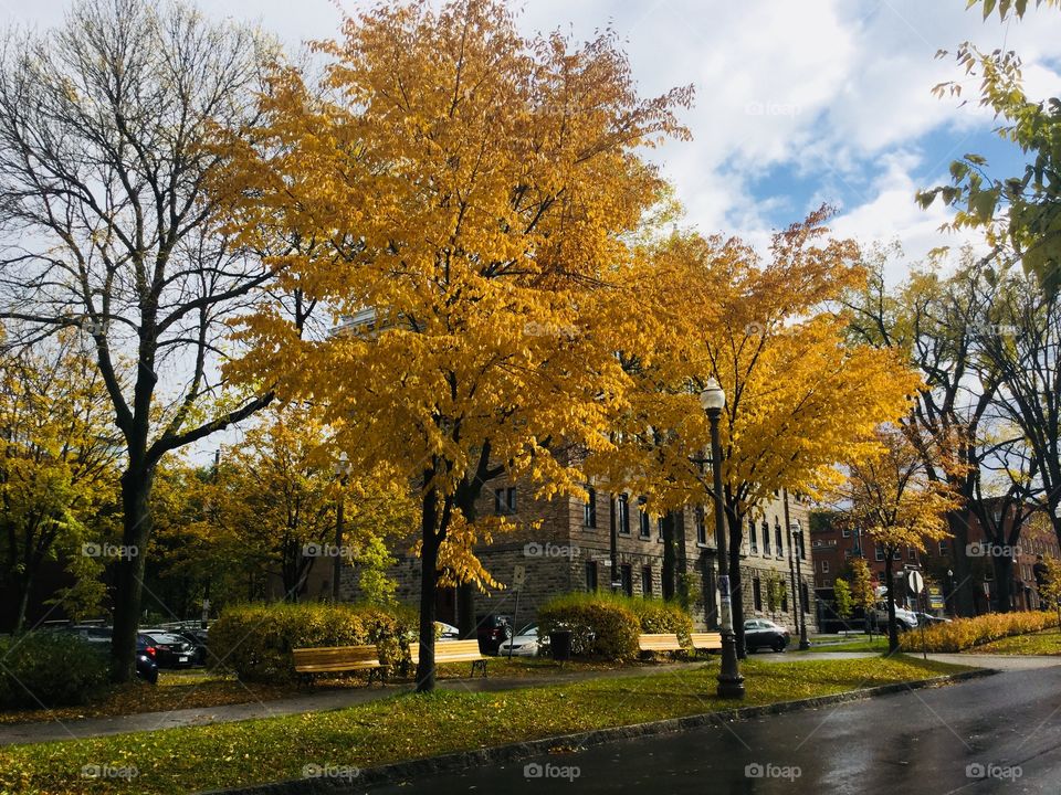Small patch of blue sky on a rainy day, yellow trees, fall colors