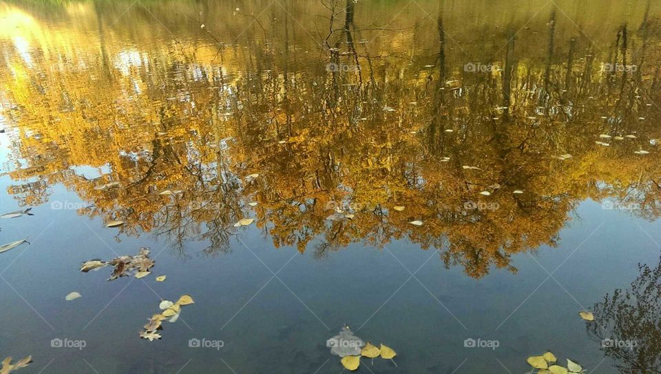 Reflection, Fall, Water, No Person, Desktop