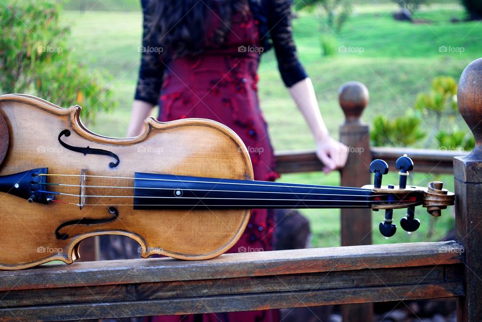 violin