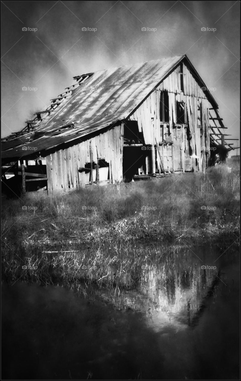 Barn Reflection