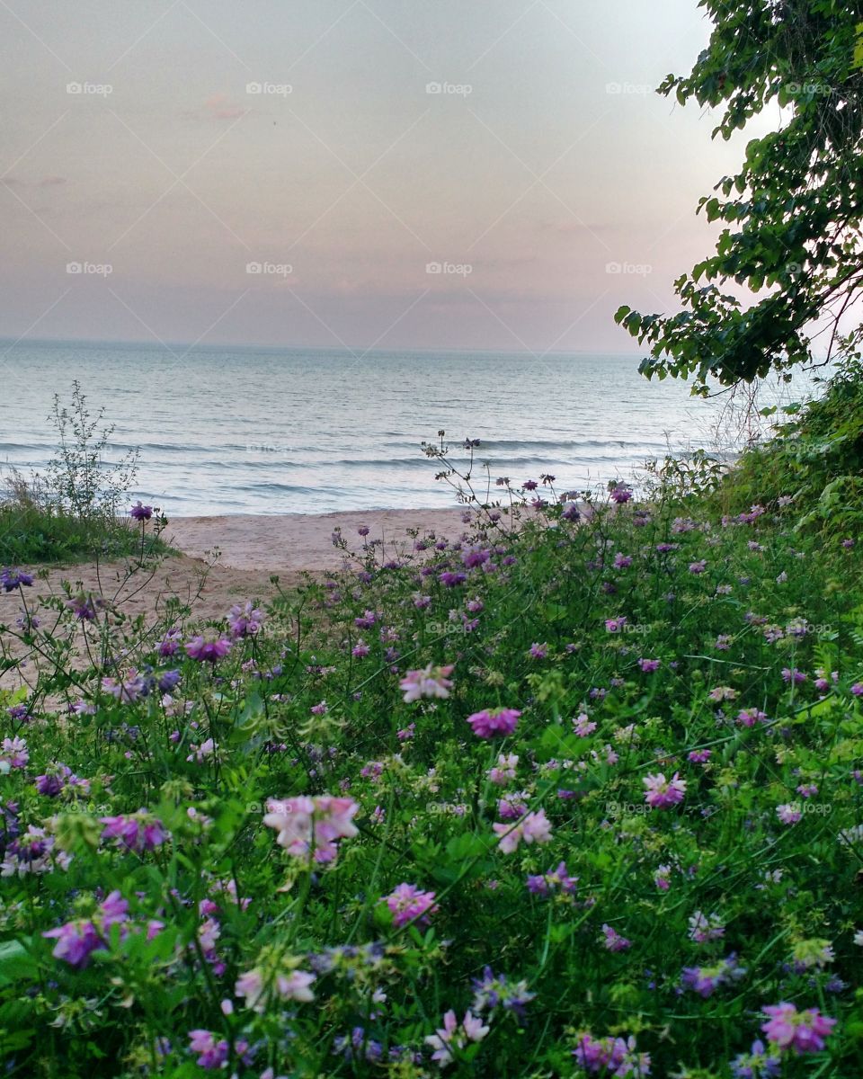 Wisconsin Beach