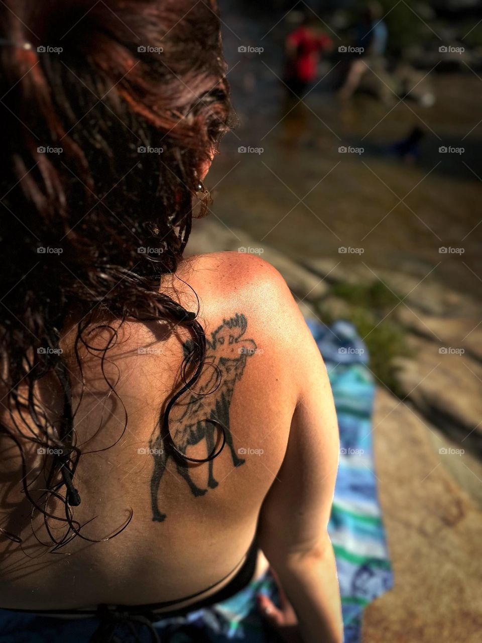 Sun rays and summer days 