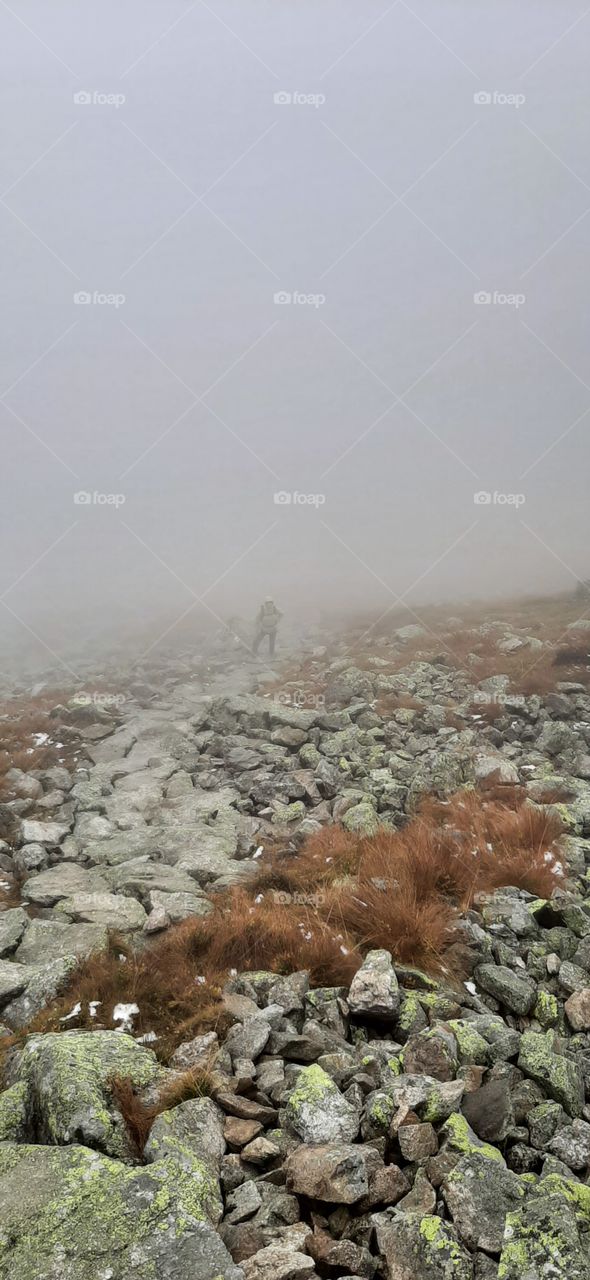 hilly paths in the misty mountains