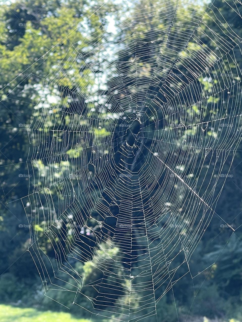 Creative photography 