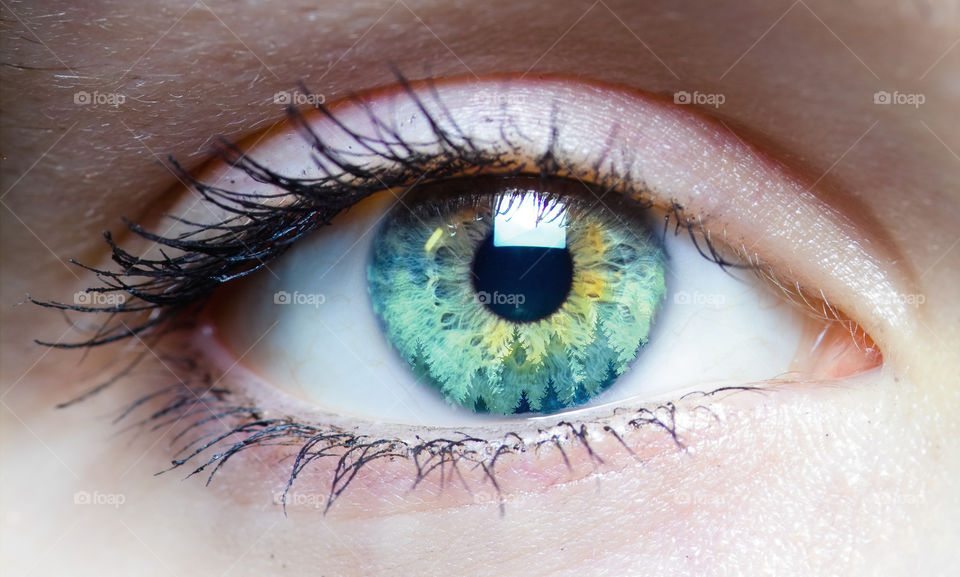 my first double exposure project in PHOTOSHOP!!!!