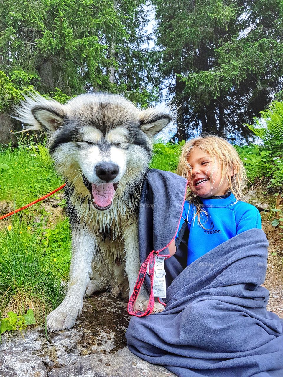 Jokes between dog and child