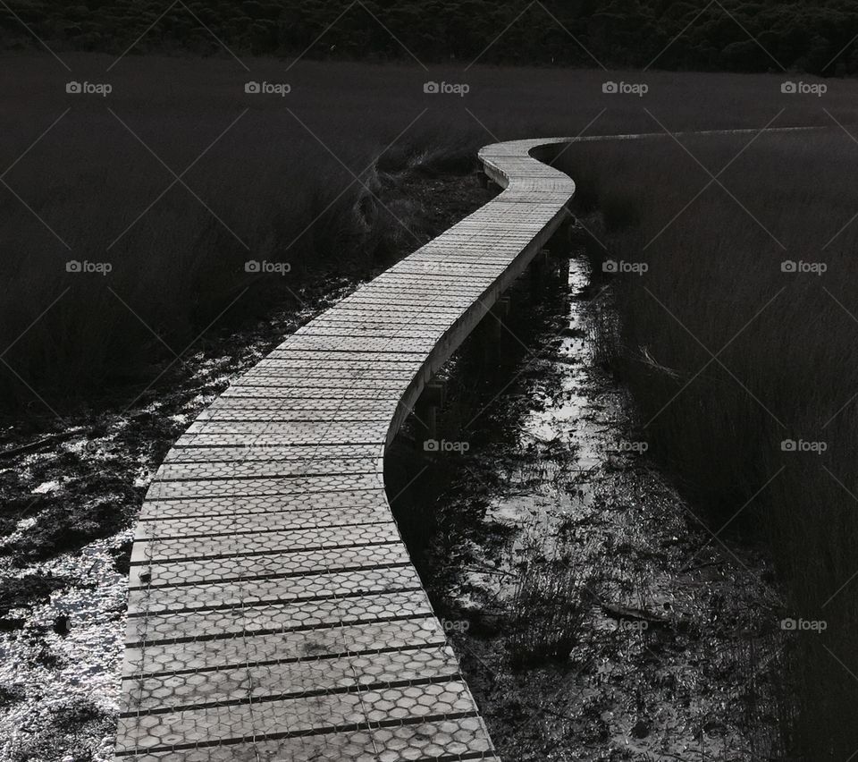 Swamp walkway