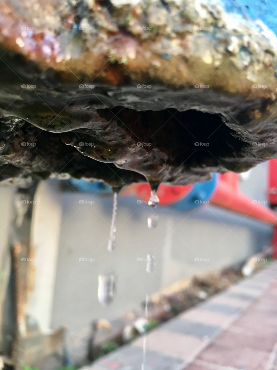 Leakage of water, mold,