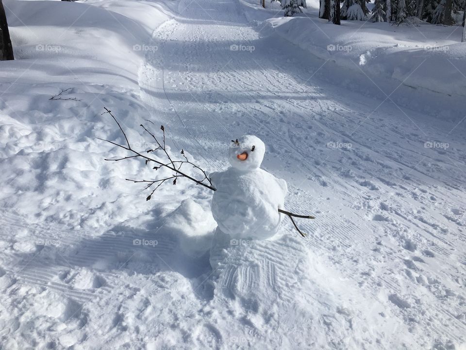 Frosty on the road