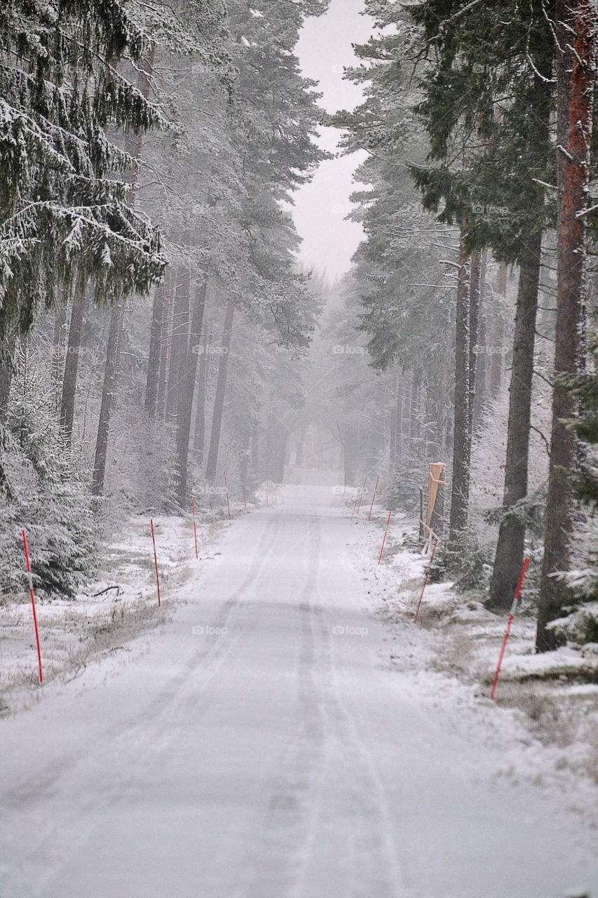 Winter road