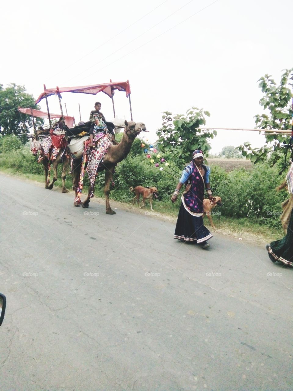 natural pics,classic picture,Nice photo,Natural photo,Memorable photo,A wonderful photo,A beautiful photo,Amazing photo,Best photo,Real photo,A photo for you,Special photo for special,Very good photo for you,Preserve photo,Wow click photo