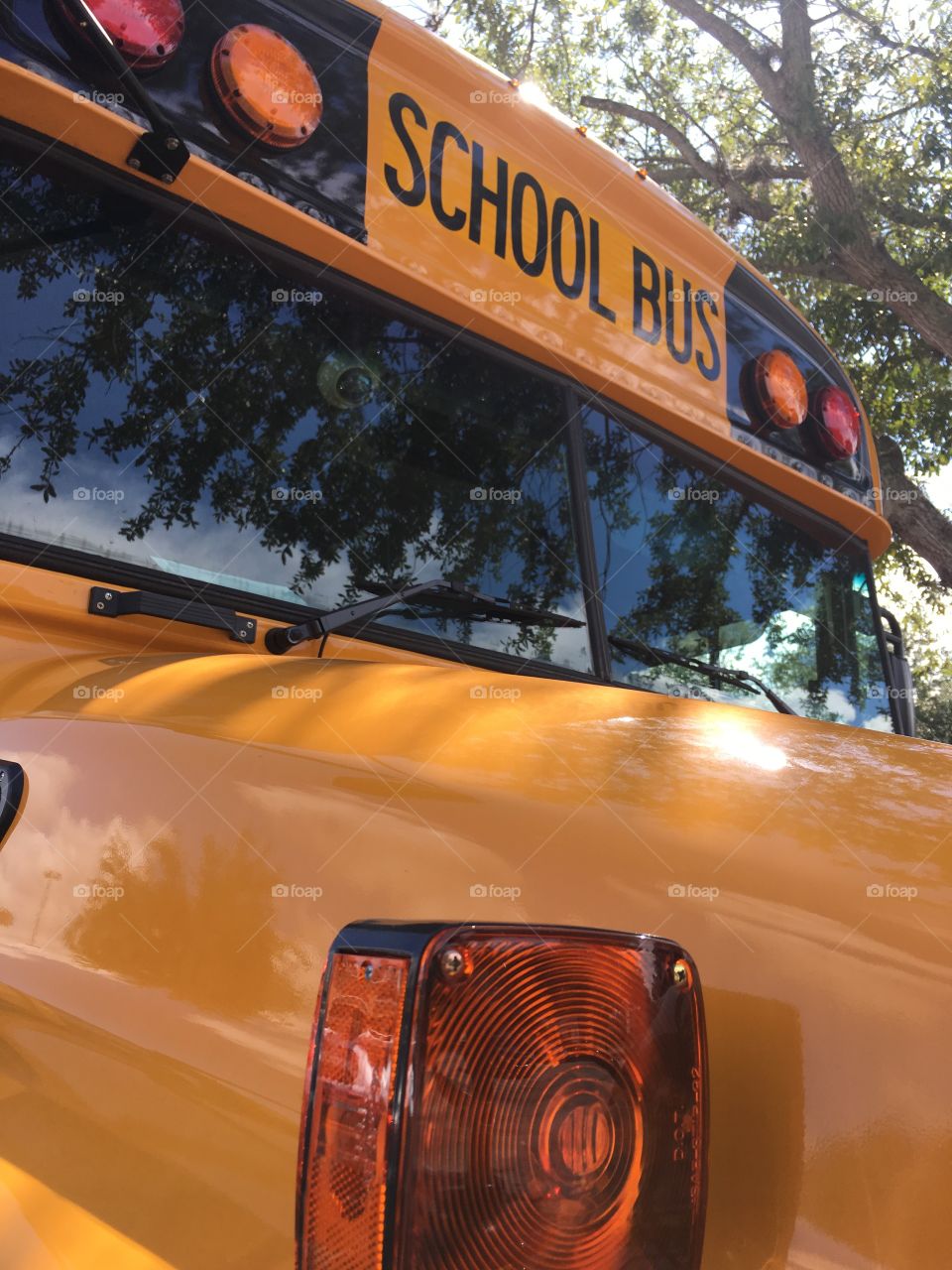 School bus in the sunshine 