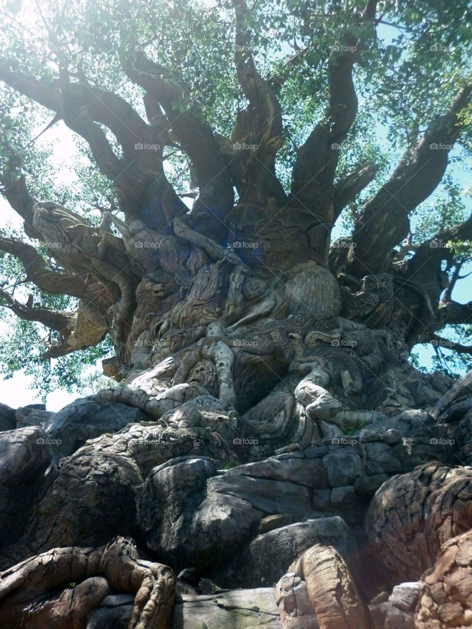 tree of life . saw this on my first trip to the magic Kingdom it's carved tree to represent the circle of life