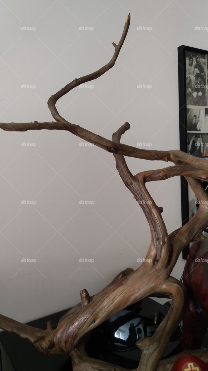 Design options for your place