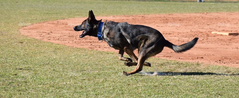 Running the bases