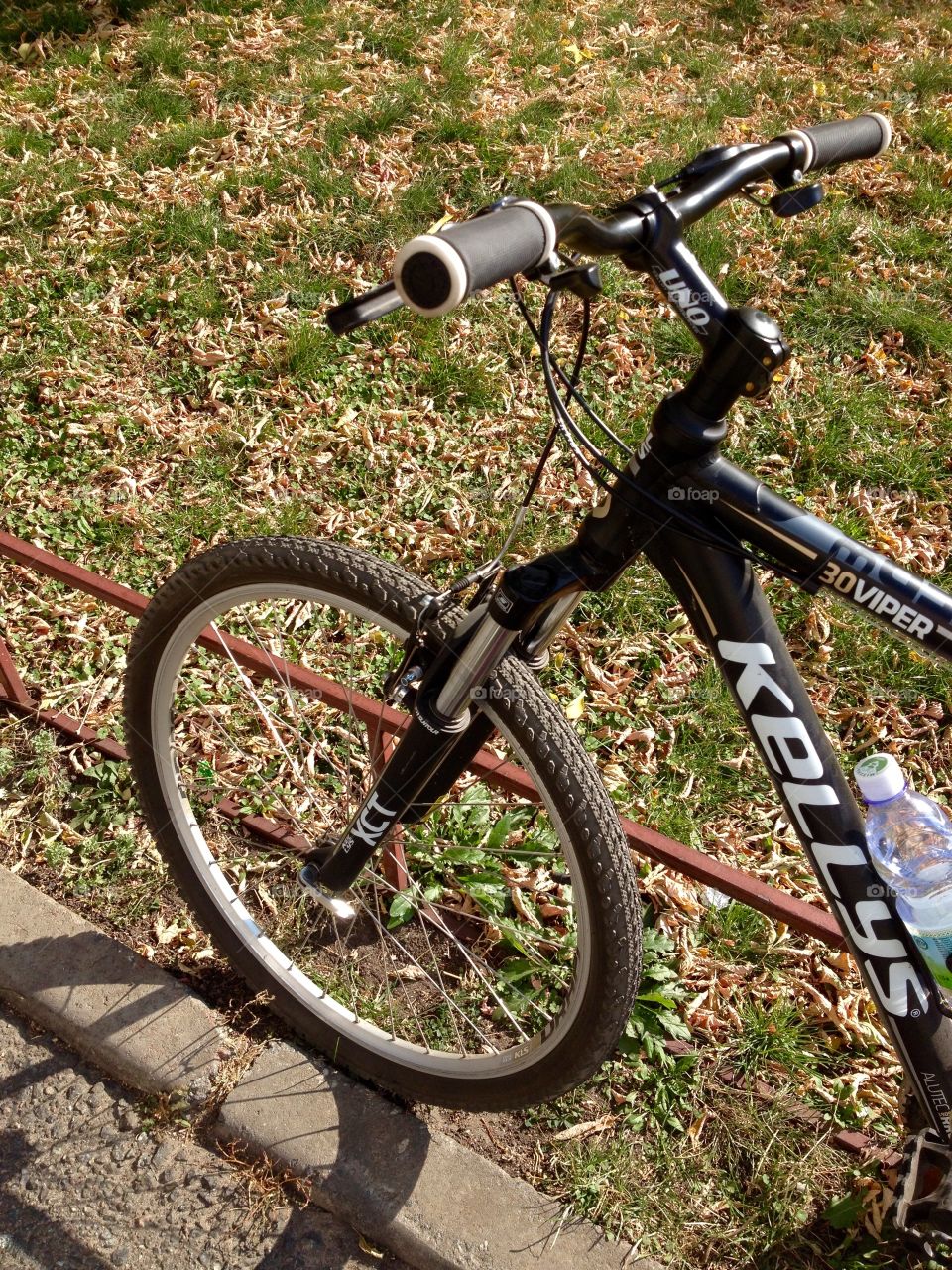 Bicycle near a flowerbed covered with leaves