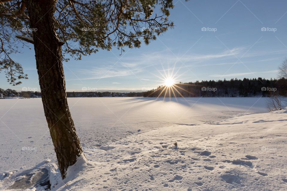 Sun sets behind the trees on a beautiful winter day by a snow covered lake