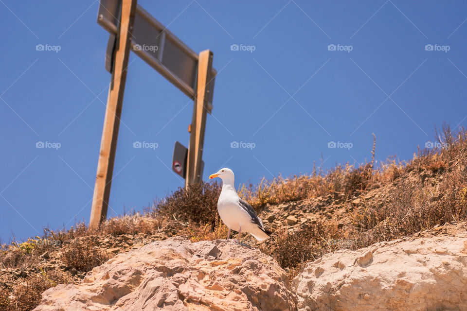 There’s no rush to take off yet. Relax.