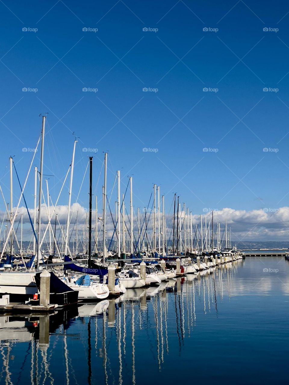 The photo of the week: A good view in San Francisco 