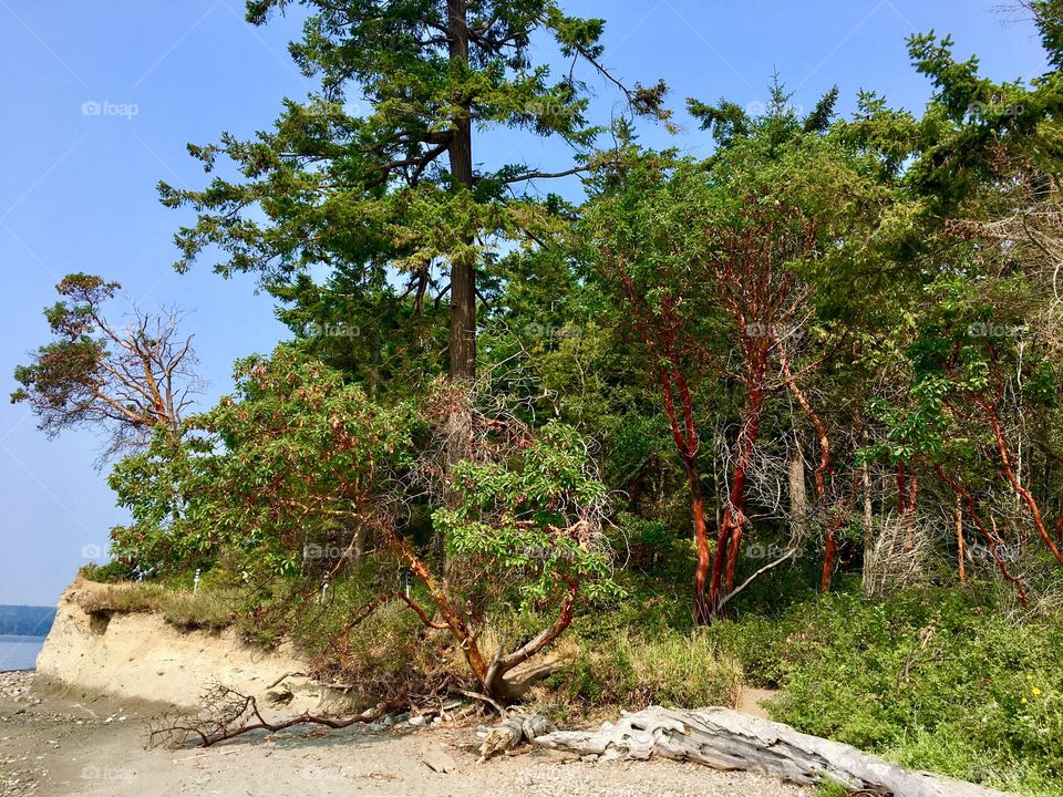 Foulweather Bluff, Kitsap Peninsula, Washington State 