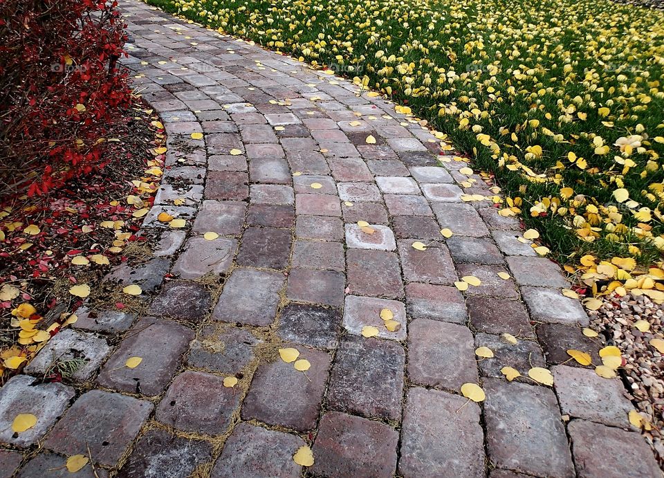 A beautifully landscaped red, brown, and gray brick path curving through the grass with lots of gold and yellow fallen leaves on a fall day in Central Oregon. 
